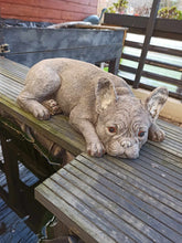 Load image into Gallery viewer, Stone French Bulldog Statue Frenchie Puppy Large Solid Statue Amazing Detail