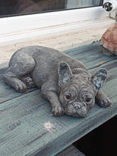 Load image into Gallery viewer, Stone French Bulldog Statue Frenchie Puppy Large Solid Statue Amazing Detail