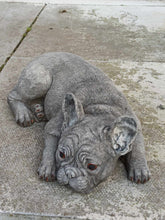 Load image into Gallery viewer, Stone French Bulldog Statue Frenchie Puppy Large Solid Statue Amazing Detail