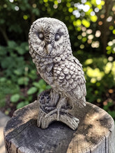 Load image into Gallery viewer, Owl Stone Statue Garden Ornament Concrete Barn Owl Reconstituted Stone