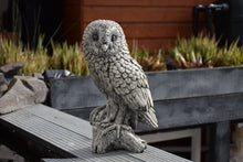 Load image into Gallery viewer, Owl Stone Statue Garden Ornament Concrete Barn Owl Reconstituted Stone