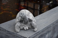 Load image into Gallery viewer, Turtle Stone Statue Garden Ornament Tortoise Reconstituted Stone