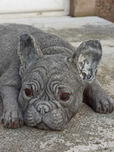 Load image into Gallery viewer, Stone French Bulldog Statue Frenchie Puppy Large Solid Statue Amazing Detail
