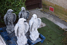 Load image into Gallery viewer, 🦅 Large Pair of Antique White Patina Eagles 🦅
