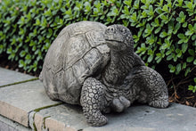 Load image into Gallery viewer, Turtle Stone Statue Garden Ornament Tortoise Reconstituted Stone
