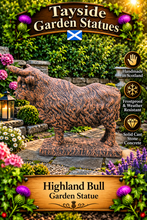 Load image into Gallery viewer, Highland Bull Highland Cow Garden Statue Solid Stone 45cm Terracotta finish
