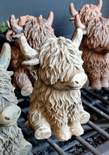 Load image into Gallery viewer, 1 x Large H coo (Terracotta) 1 x baby coo (Terracotta) 2 x Medium V2 H coo (Light brown)
