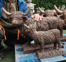 Load image into Gallery viewer, 1 x Large H coo (Terracotta) 1 x baby coo (Terracotta) 2 x Medium V2 H coo (Light brown)
