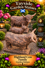 Load image into Gallery viewer, Family of Highland Cows Garden Statue Solid Stone Big coo and Bull 60 tall x70 long cm Calf 40cm tall
