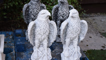 Load and play video in Gallery viewer, 🦅 Large Pair of Antique White Patina Eagles 🦅
