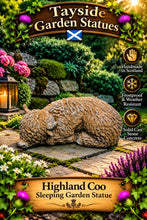 Load image into Gallery viewer, Small Head Highland Cow Garden Statue Solid Stone 30cm
