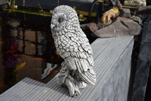 Load image into Gallery viewer, Owl Stone Statue Garden Ornament Concrete Barn Owl Reconstituted Stone
