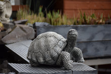 Load image into Gallery viewer, Turtle Stone Statue Garden Ornament Tortoise Reconstituted Stone
