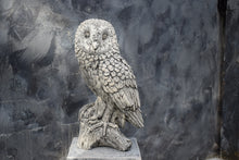 Load image into Gallery viewer, Owl Stone Statue Garden Ornament Concrete Barn Owl Reconstituted Stone
